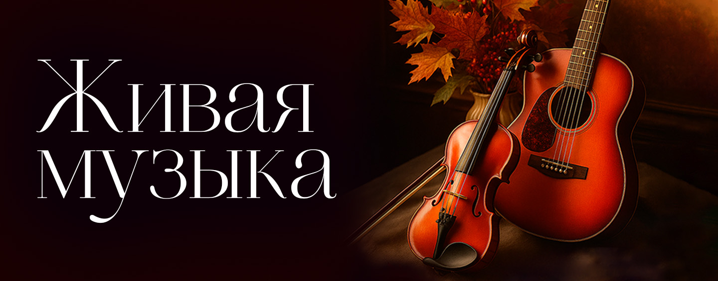 скрипка и гитара 